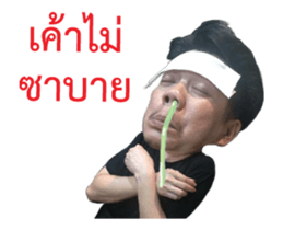 14447291