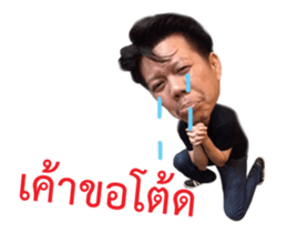 14447303