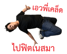 14447304