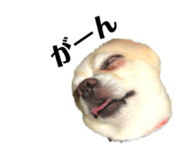 144474184