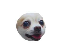 144474189