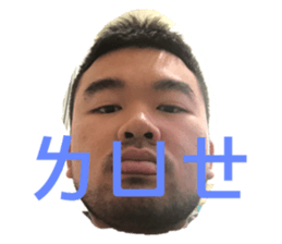 144513513