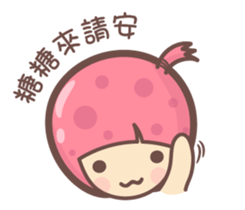 144524816