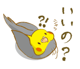 14453223