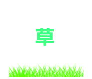 144562356