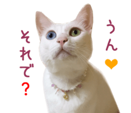 14456670
