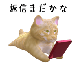 144734945