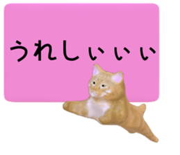 144734958