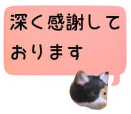 144734965