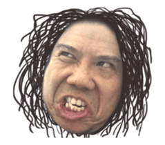 14484407