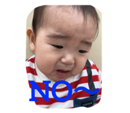 144859531