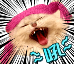 14512466