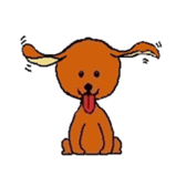 1456206