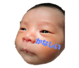 145669337