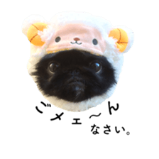 14573635