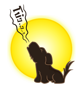 ลายที่ 31