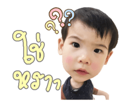145869534