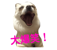 145928175