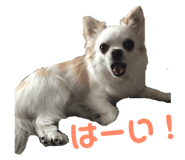 145928176
