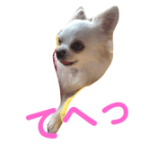 145928179