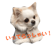 145928180