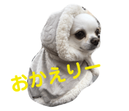 145928181
