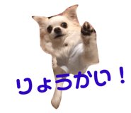 145928182