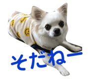 145928183