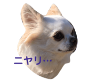 145928184