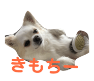 145928185