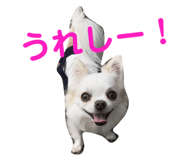 145928186