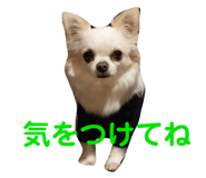 145928188