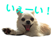 145928191