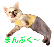 145928192