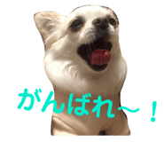 145928194