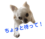 145928196