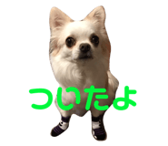 145928200
