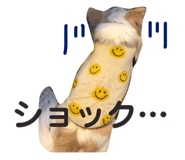 145928204
