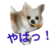 145928205