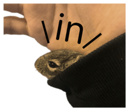 145960691