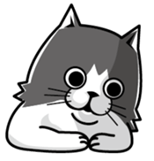 14598630