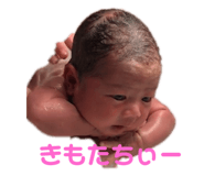 146030305