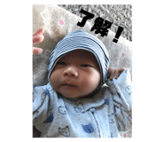 146030308