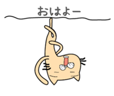 146047847