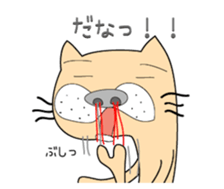 146047851