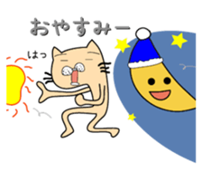 146047853