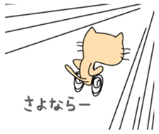 146047854