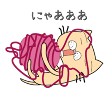 146047874