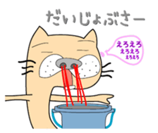 146047875