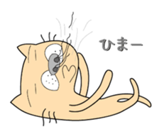 146047877